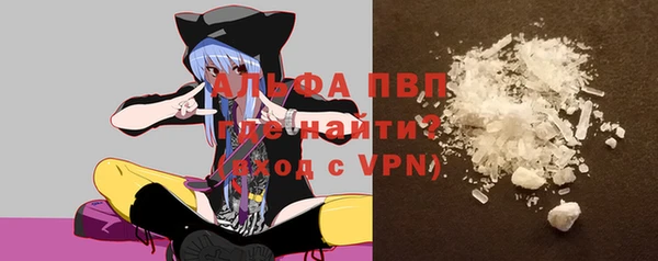 дурь Инта