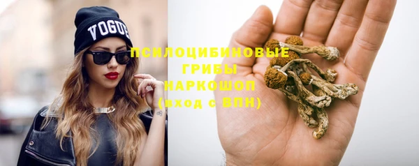 ALPHA PVP Инсар