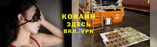 ALPHA PVP Инсар