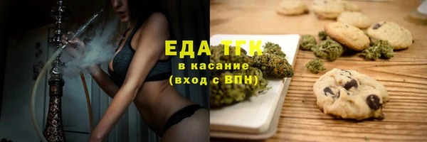 дурь Инта
