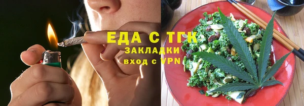дурь Инта